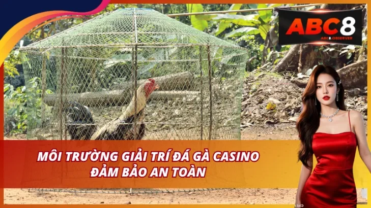 Môi trường giải trí đá gà casino đảm bảo an toàn